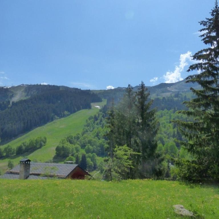 Appartement 2 pièces 4-5 pers, terrasse sud, Méribel centre, ski-in/ski-out, WIFI - FR-1-411-613 - Appartement (5 Adultes) - 2
