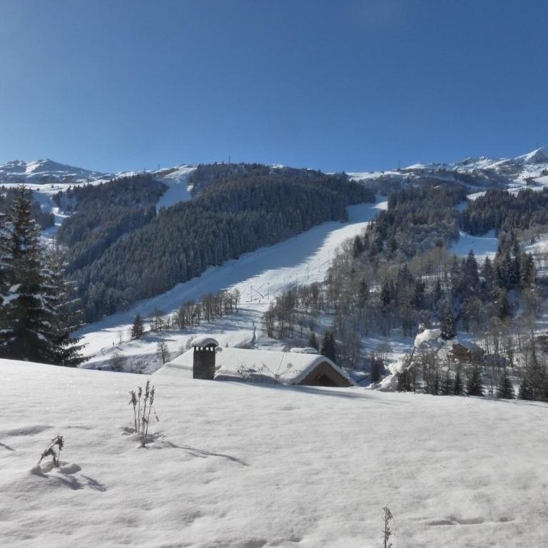 Appartement 2 pièces 4-5 pers, terrasse sud, Méribel centre, ski-in/ski-out, WIFI - FR-1-411-613 - Appartement (5 Adultes) - 3