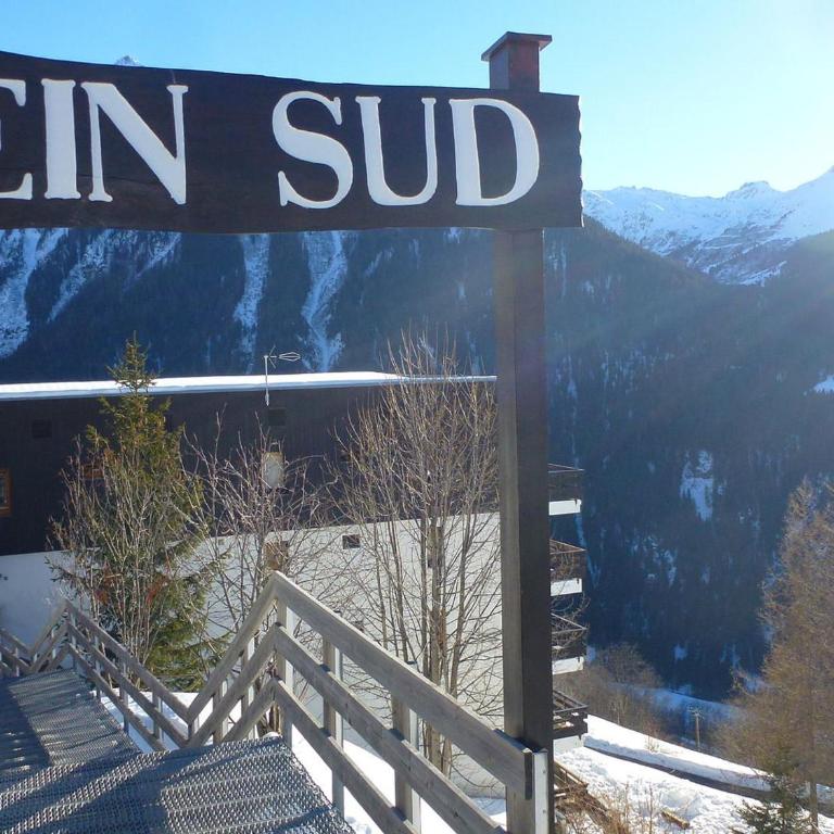 Studio 4 pers. à Plan Peisey, proche pistes, animaux admis - FR-1-411-641 - Studio - 5