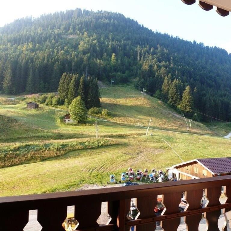 Studio avec balcon sud dans un écrin de verdure, Le Biot - Studio - 4