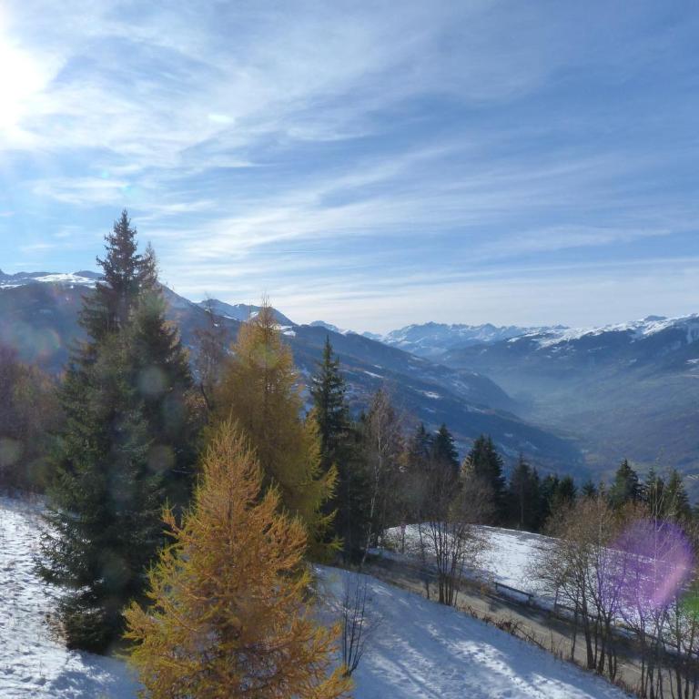 Studio 4 pers Arc 1800, animaux admis, proche pistes - FR-1-411-642 - Studio - 5