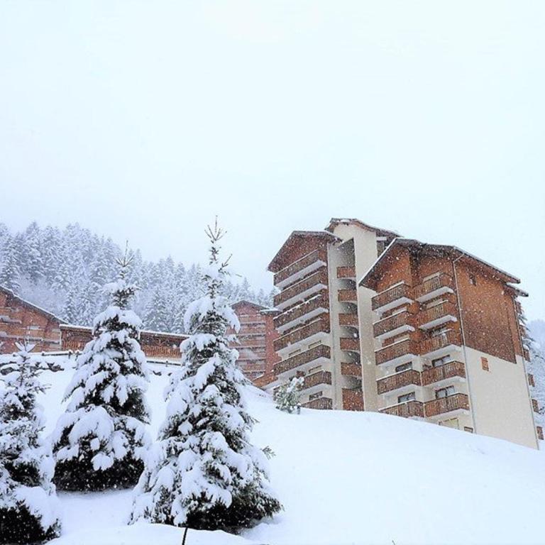 Location 2 pièces avec accès skis aux pieds à Saint-Jean-d'Aulps - Appartement 1 Chambre - 14
