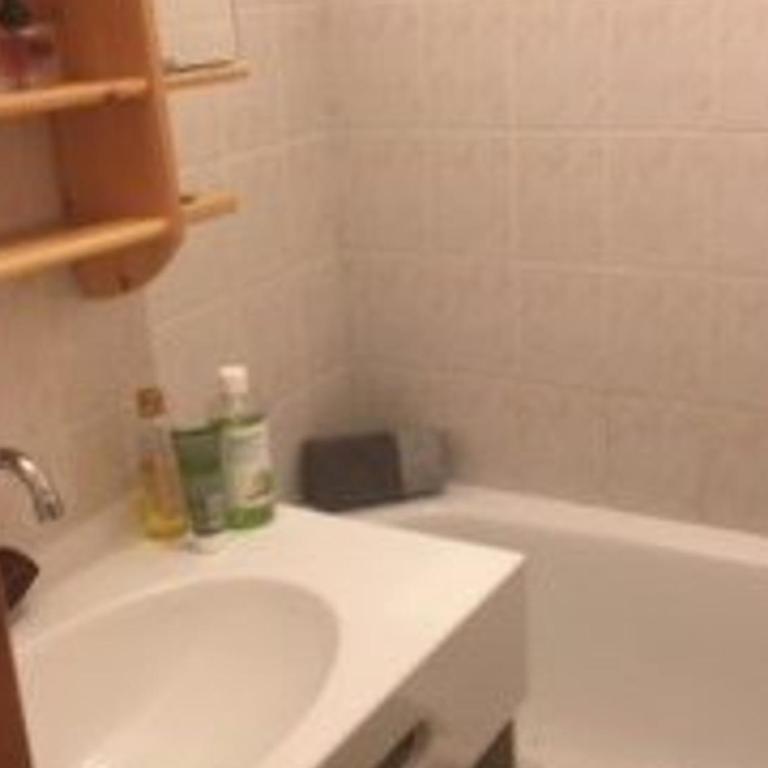 2 pièces au pied des pistes à St Jean d'Aulps - Appartement 1 Chambre - 9