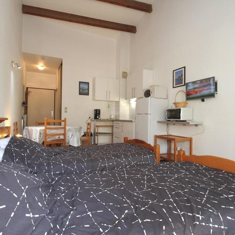 Grand Studio Climatisé avec Terrasse et Parkings, Proche des Thermes - FR-1-553-106 - Studio - 3
