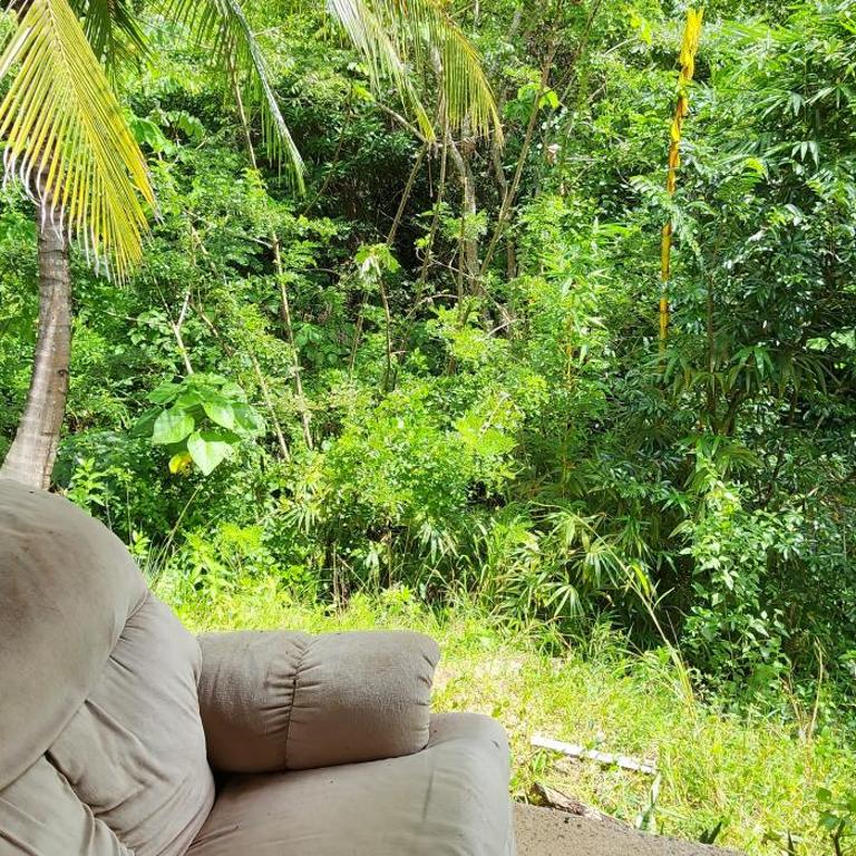 Hostel Finca La Gordita - Bungalow (9 adultos) - 11