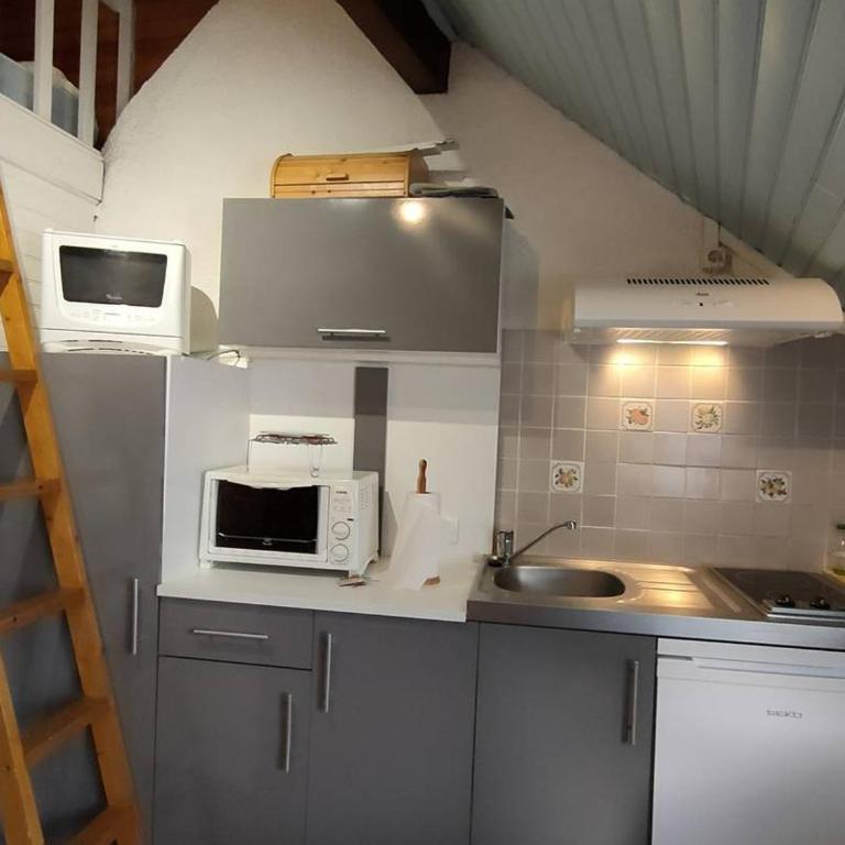 Studio 4 pers proche thermes et télécabines - FR-1-234-269 - Studio - 1