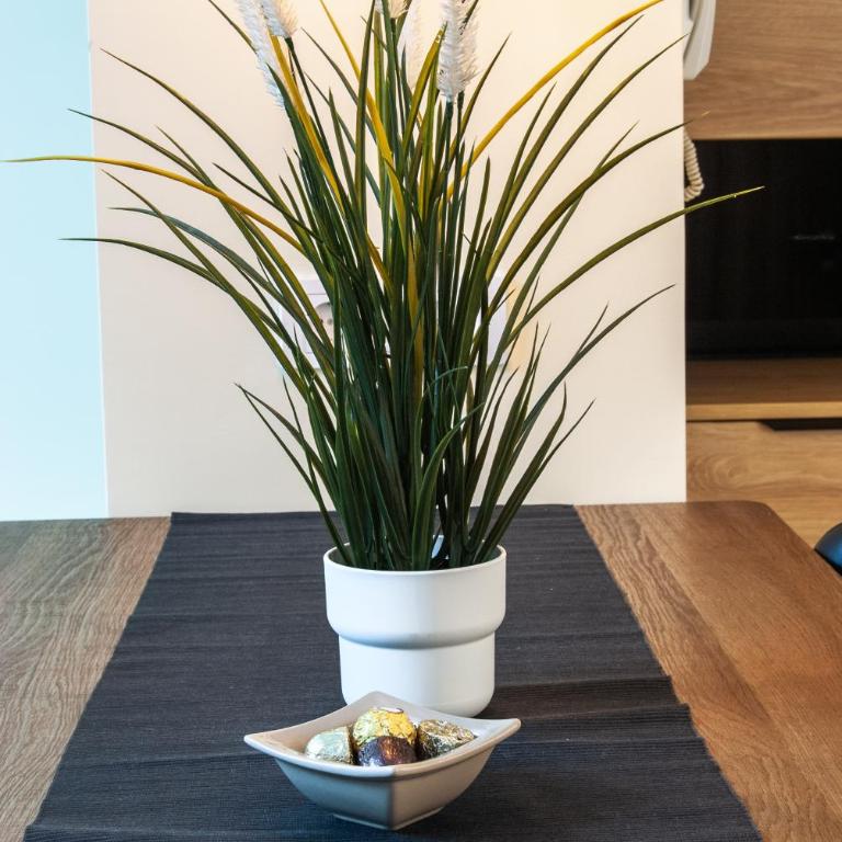 N10 Apartment - Apartman sa 1 Spavaćom Sobom - 14