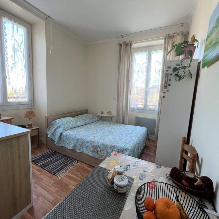 Studio lumineux à Cambo-les-Bains, proche thermes, coin nuit, kitchenette, internet, animaux acceptés - Studio - 11