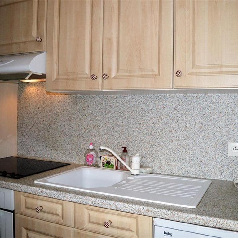 Appartement 2 pièces 6 pers, proche pistes, terrasse, animaux acceptés - Appartement 1 Chambre - 6
