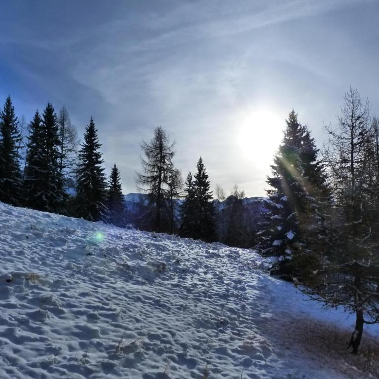 Studio 4 personnes Arc 1800, animaux admis, proche pistes - FR-1-411-627 - Studio - 15