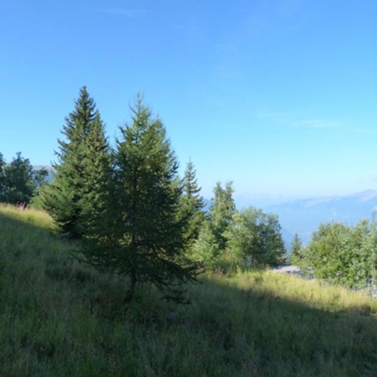 Studio 4 personnes Arc 1800, animaux admis, proche pistes - FR-1-411-627 - Studio - 16