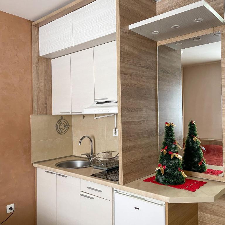 Kopaonik Centar Konaci - Studio - 6