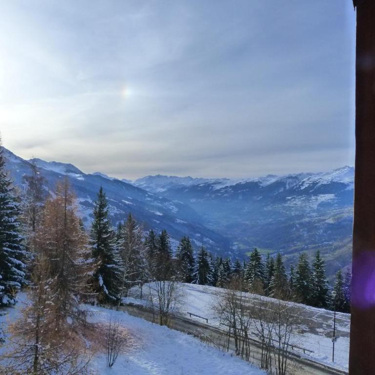 Studio 4 pers Arc 1800, animaux admis, proche pistes - FR-1-411-642 - Studio - 15
