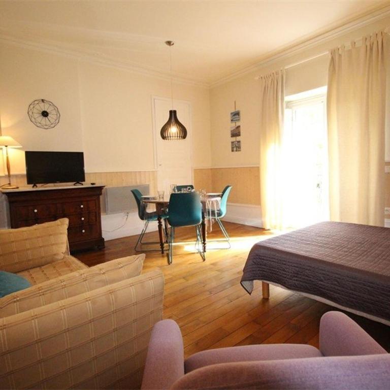 Studio au centre avec ascenseur et animaux admis - FR-1-313-163 - Studio - 6