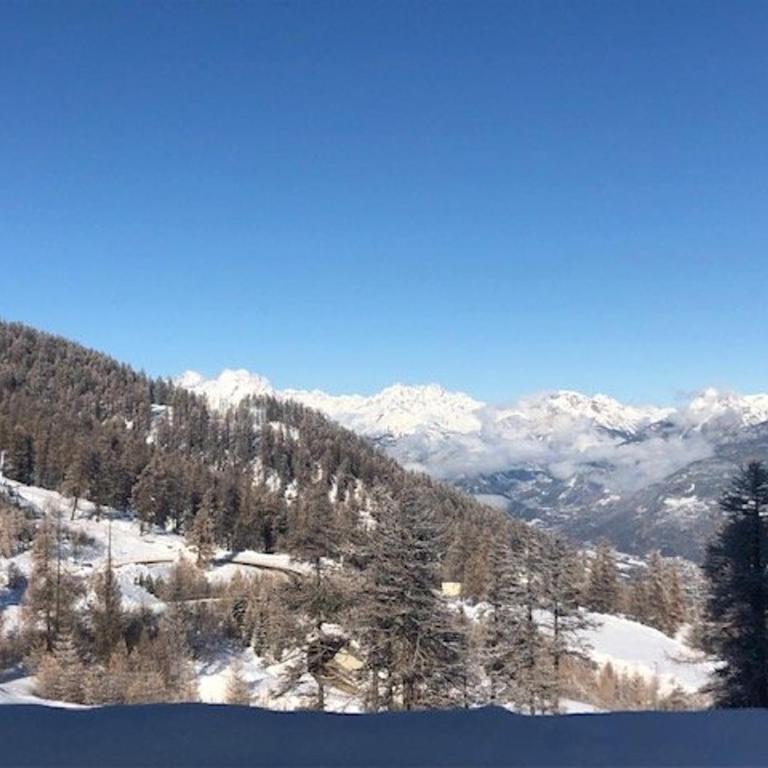 Studio calme pour 4 pers. à Risoul, proche pistes, animaux admis, parking gratuit - Appartement 1 Chambre - 11