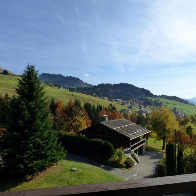 Studio cosy pour 4 au cœur du Chinaillon, près des pistes - FR-1-458-89 - Estudio - 6