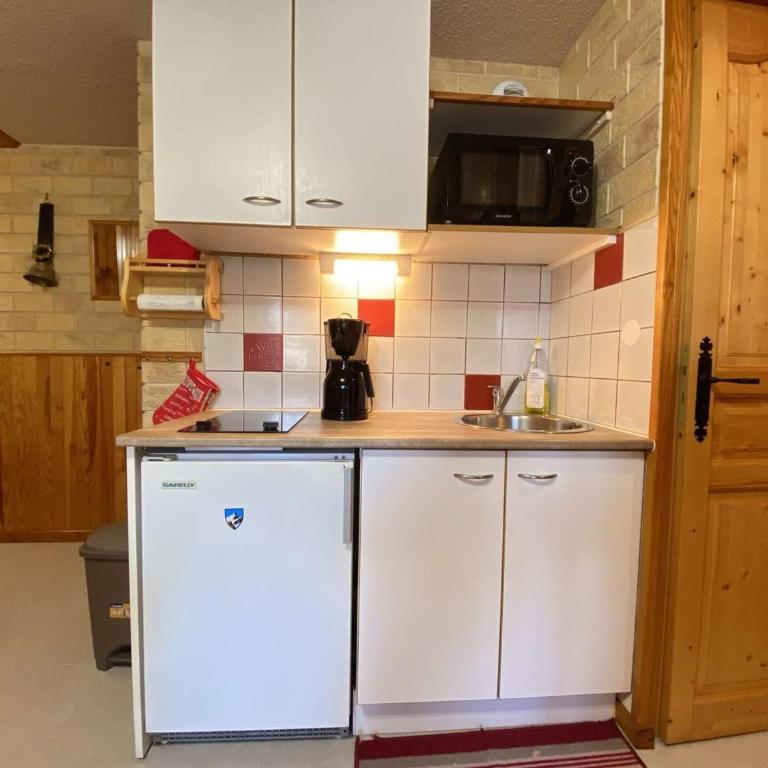 Appartement cosy 6 pers, Praz-sur-Arly, navette gratuite, parking, animaux admis - Appartement 1 Chambre - 9
