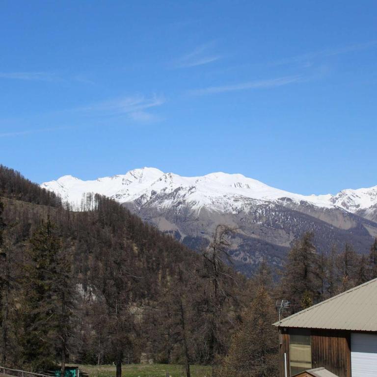 Studio calme pour 4 pers. à Risoul, proche pistes, animaux admis, parking gratuit - Appartement 1 Chambre - 16