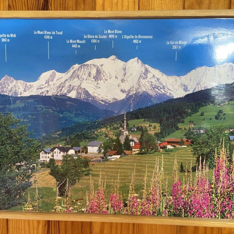 Appartement cosy 6 pers, Praz-sur-Arly, navette gratuite, parking, animaux admis - Appartement 1 Chambre - 13