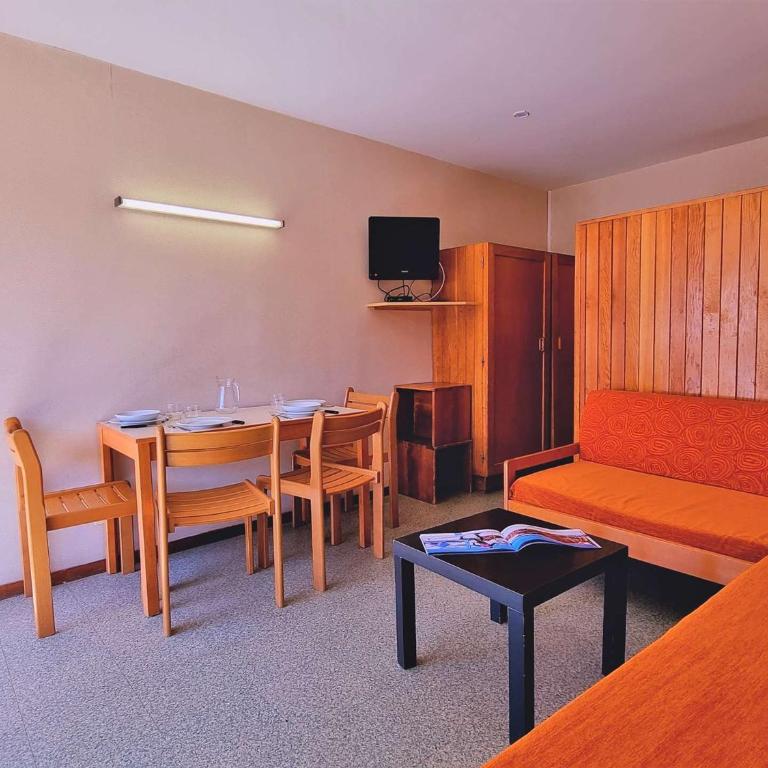 Studio au pied des pistes avec Wifi, parking, animaux admis - FR-1-525-186 - Apartment (4 Adults) - 9