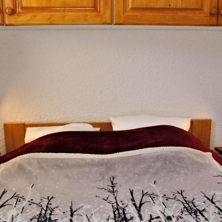 Appartement cosy à Risoul 1850, 3 pièces, 6 couchages, proche pistes et commerces, balcon ensoleillé - Appartement 2 Chambres - 14