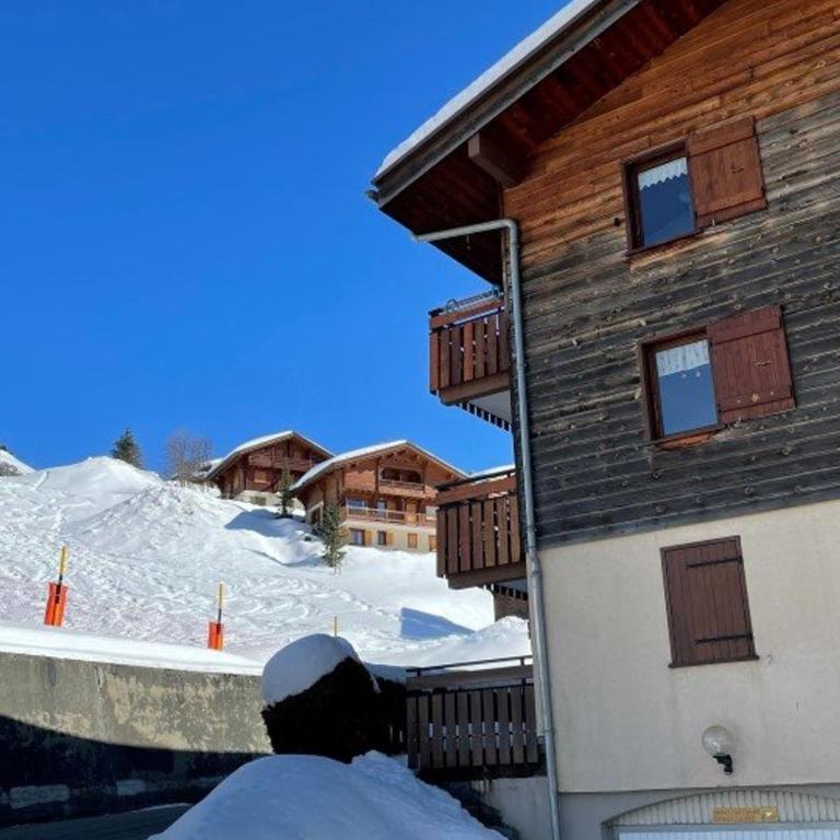 Appartement skis aux pieds, cosy 2 pièces, terrasse Sud/Est, 1er étage, idéal pour 4 personnes - FR-1-458-131 - Appartement (4 Adultes) - 1