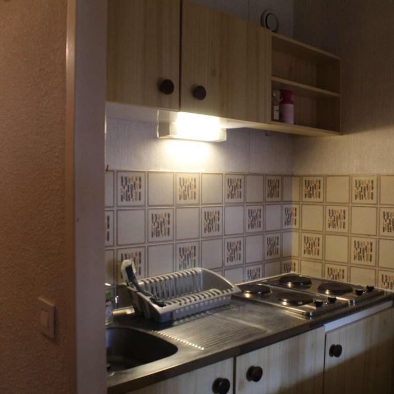 Studio charmant au pied des pistes, balcon sud, parking gratuit, animaux acceptés ! - Appartement 1 Chambre - 2