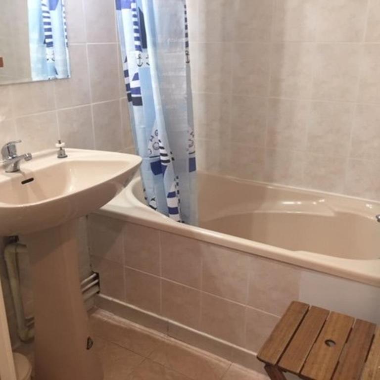 Studio charmant au pied des pistes, balcon sud, parking gratuit, animaux acceptés ! - Appartement 1 Chambre - 9