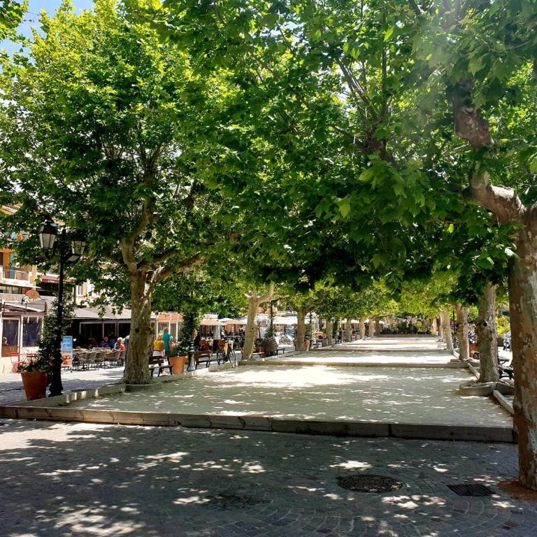 Appartement Climat. 4 pers. avec Parking Privatif au Lavandou, Proche Centre et Plage - FR-1-251-390 - Appartement (4 Adultes) - 11