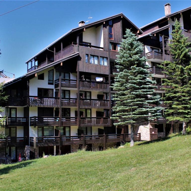 Studio charmant au pied des pistes, balcon sud, parking gratuit, animaux acceptés ! - Appartement 1 Chambre - 15
