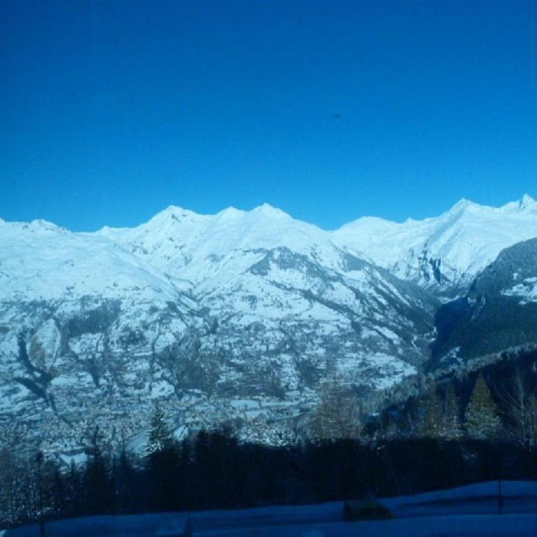 Studio confortable pour 3 pers. avec vue sur le Mont-Blanc - FR-1-411-697 - Studio - 10