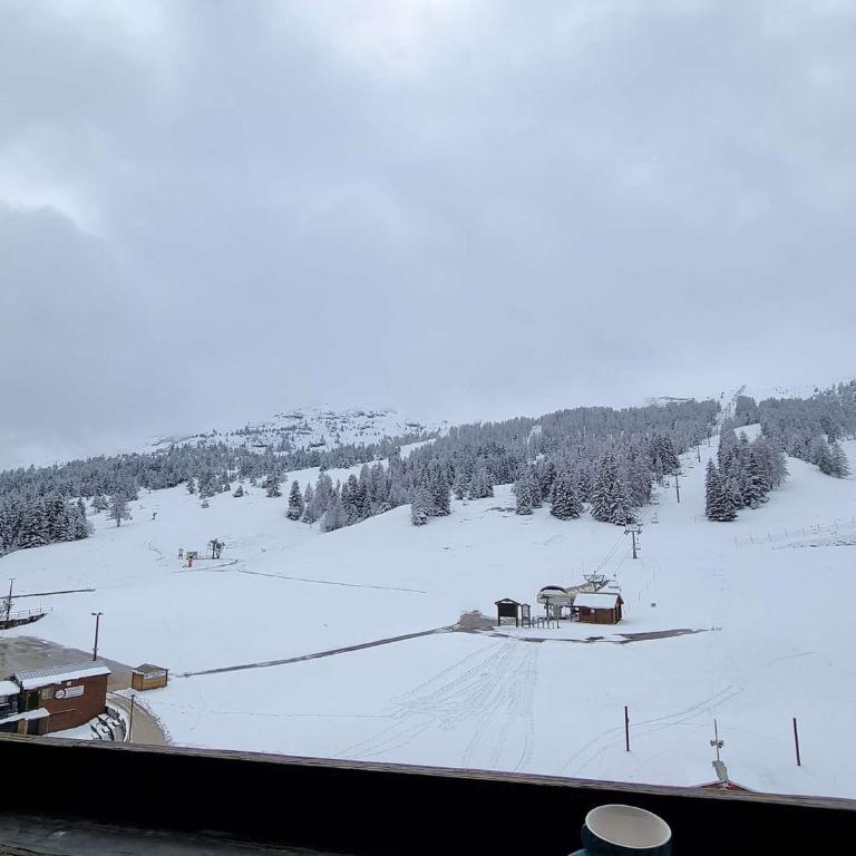 Studio au pied des pistes pour 4 avec Wifi, parking et animaux admis - FR-1-525-181 - Apartment (4 Erwachsene) - 4
