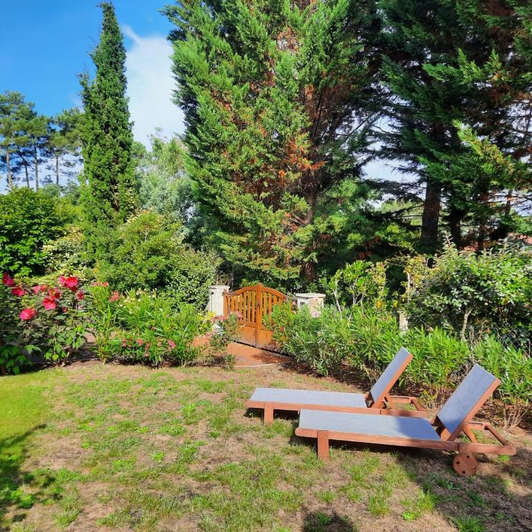 Villa élégante, jardin bucolique, proche golf & plages, 4 étoiles - FR-1-239-698 - Maison 3 Chambres - 1