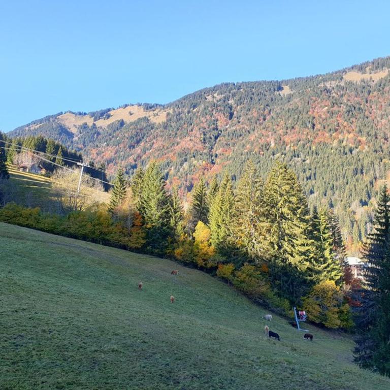 Studio cosy avec accès direct aux pistes à Saint-Jean-d'Aulps - Studio - 8