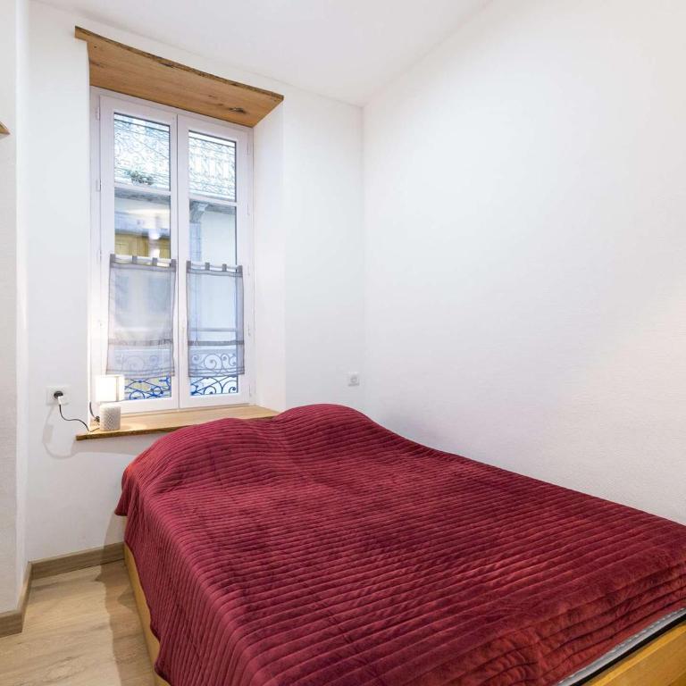 Appartement central 4-6 pers, RDC, bien équipé, proche télécabine et commodités. - FR-1-401-230 - Apartment - 4