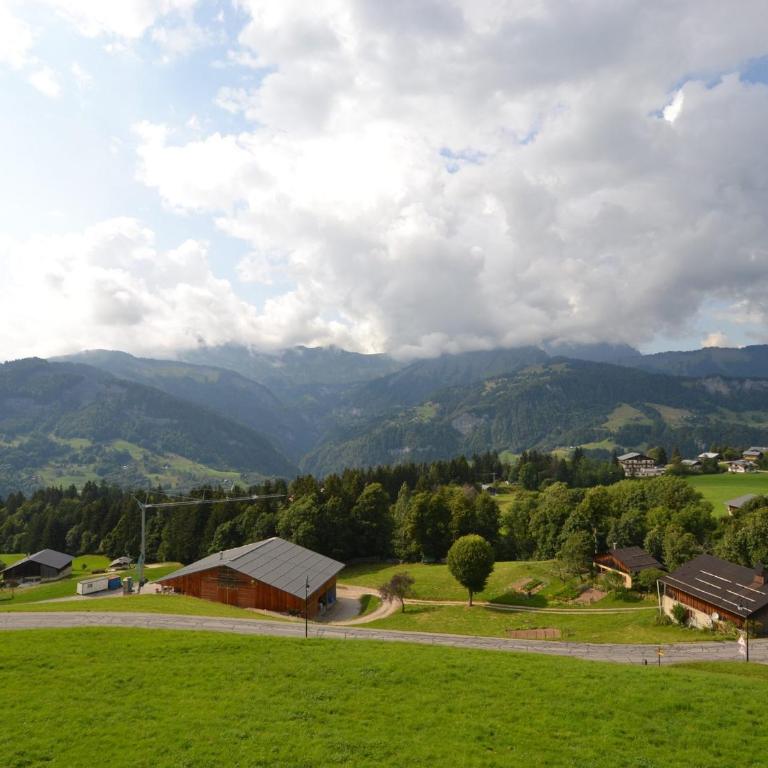 Duplex cosy pour 5 personnes près des pistes avec parking à Espace Diamant - FR-1-505-152 - Apartment (5 Adults) - 2