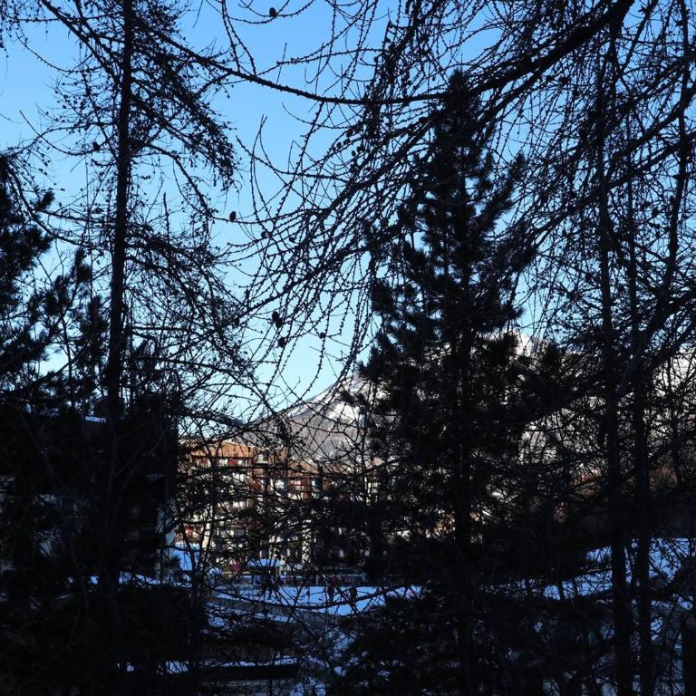 Studio rénové 6 pers, accès direct pistes, proche commerces et télésiège, balcon exposé Est - FR-1-322-461 - Apartment (6 Erwachsene) - 6