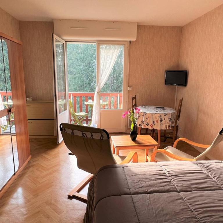 Cambo-les-Bains : T1 Bis lumineux avec balcon, parking, animaux admis - One-Bedroom Apartment - 8