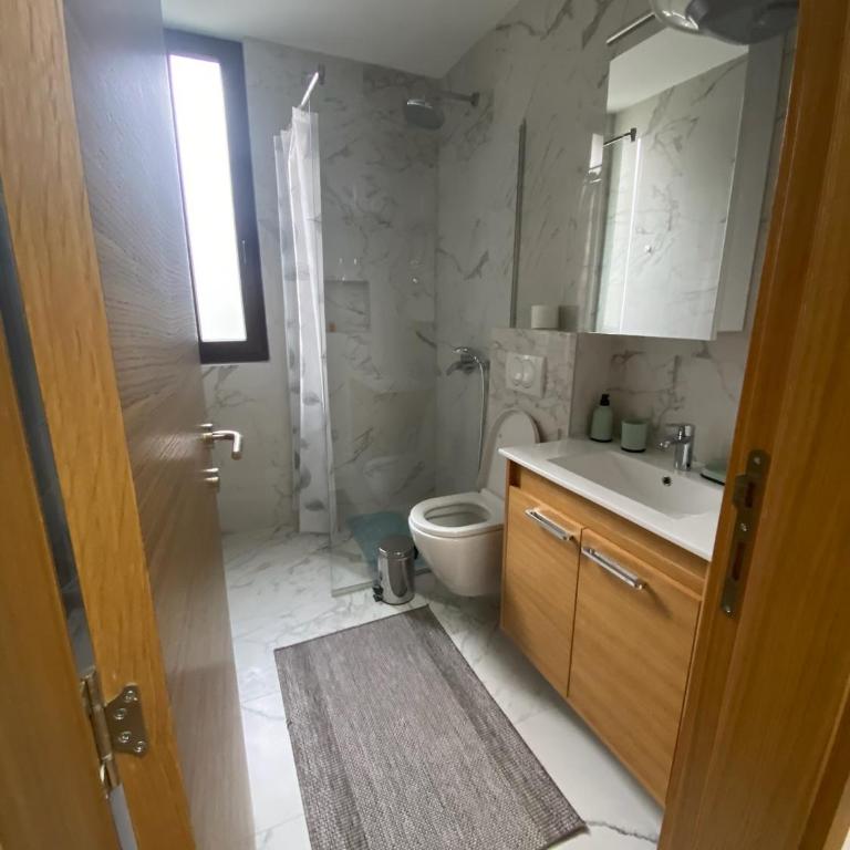 Alexandro Apartmani Zlatibor - Apartment with Balcony - 14