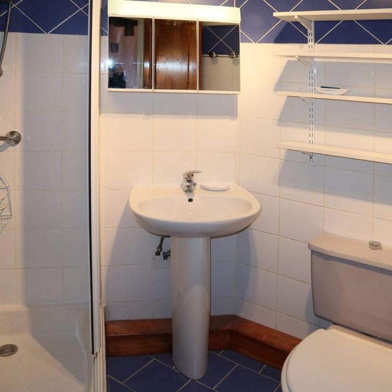 Grand duplex 8 pers, 2 chambres, station Les Orres - FR-1-322-404 - Appartamento (8 Adulti) - 9