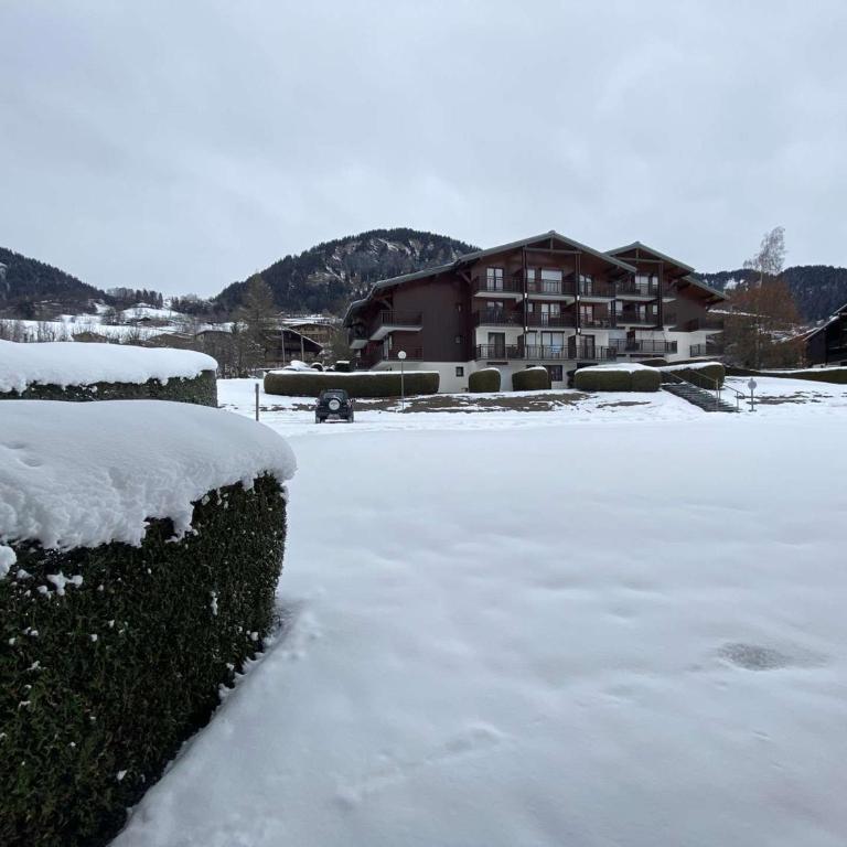 Studio Cabine au Calme avec Terrasse à Praz-sur-Arly - 4 Personnes, Parking et Casier à Ski - Appartement 1 Chambre - 11