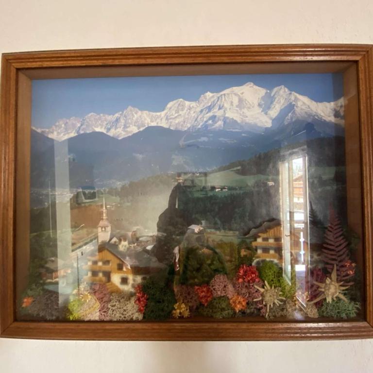 Studio cabine à Praz-sur-Arly - 4 pers, animaux, parking - Appartement 1 Chambre - 12