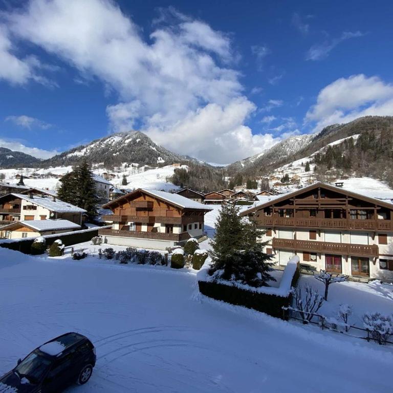 Studio cabine à Praz-sur-Arly - 4 pers, animaux, parking - Appartement 1 Chambre - 14