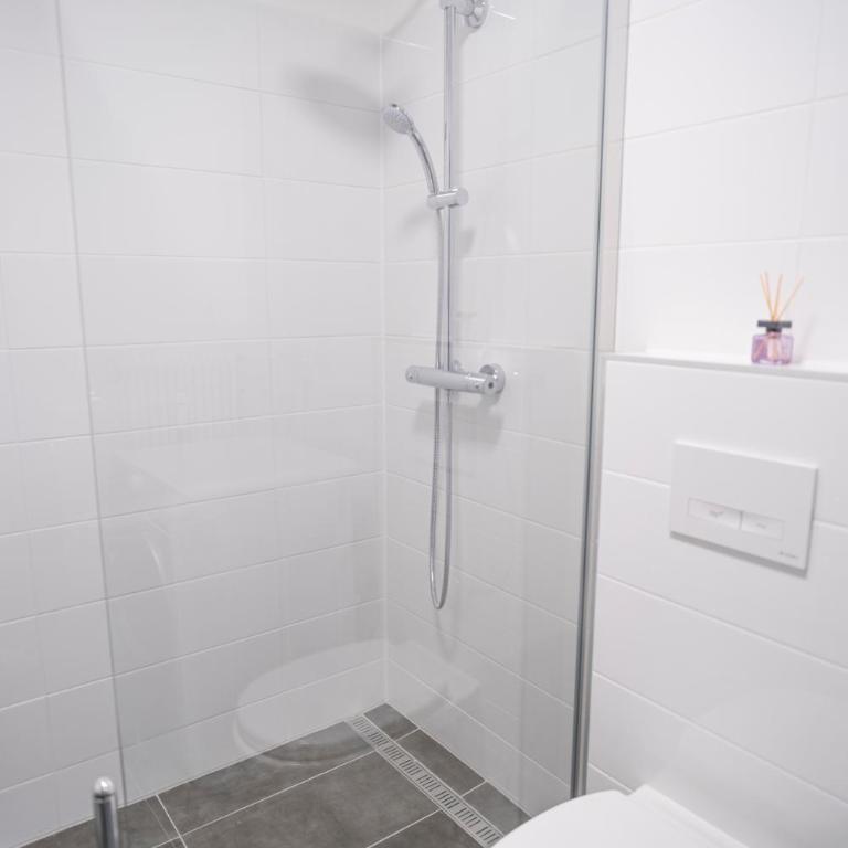Wolfgangsee Appartements - Panorama Blick, Parkplatz, Balkon - Studio with Lake View - 18