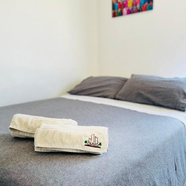 Apartamentos Alma Socoroma - Apartment - 18