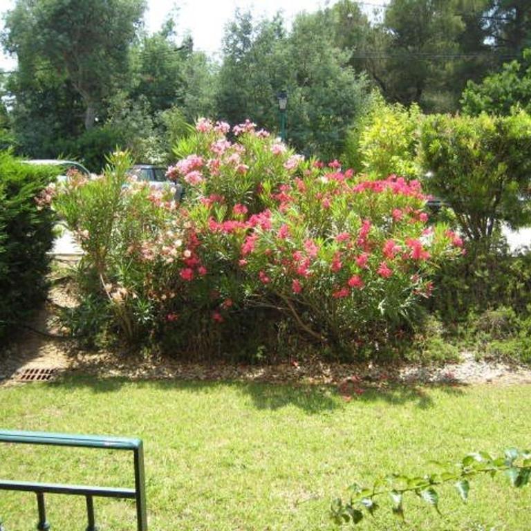 Appartement T3 avec grand jardin privé, climatisation et parking - FR-1-100-205 - Appartement (6 Adultes) - 1