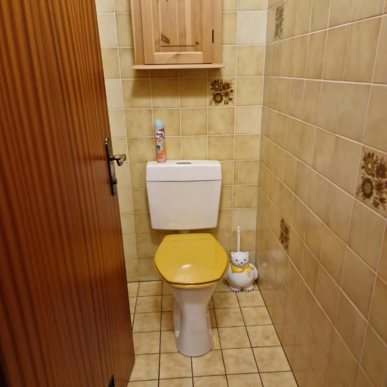 Appartment Christine Bad Aussee - Apartamento de 1 dormitorio - 20