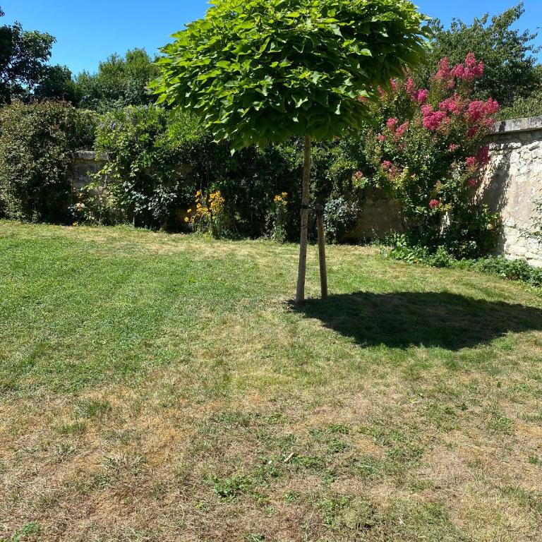 Le Méli-Mélo de Beauval - Two-Bedroom House - 44