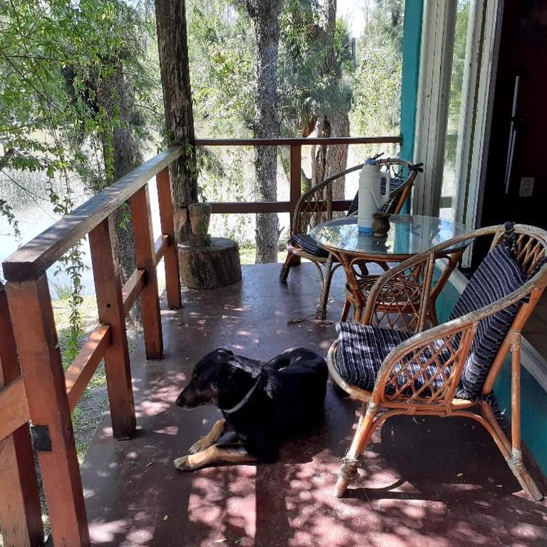 Reino del Reves - Casa de 2 dormitorios - 21