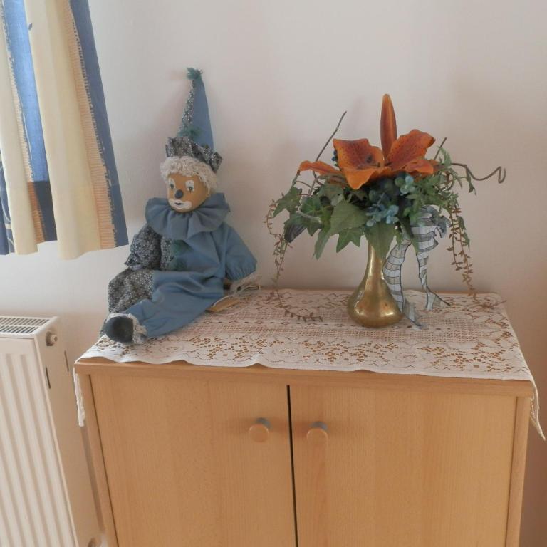 Ferienwohnungen Trinker - Lungau Karte inklusive - Apartment mit Gartenblick - 22